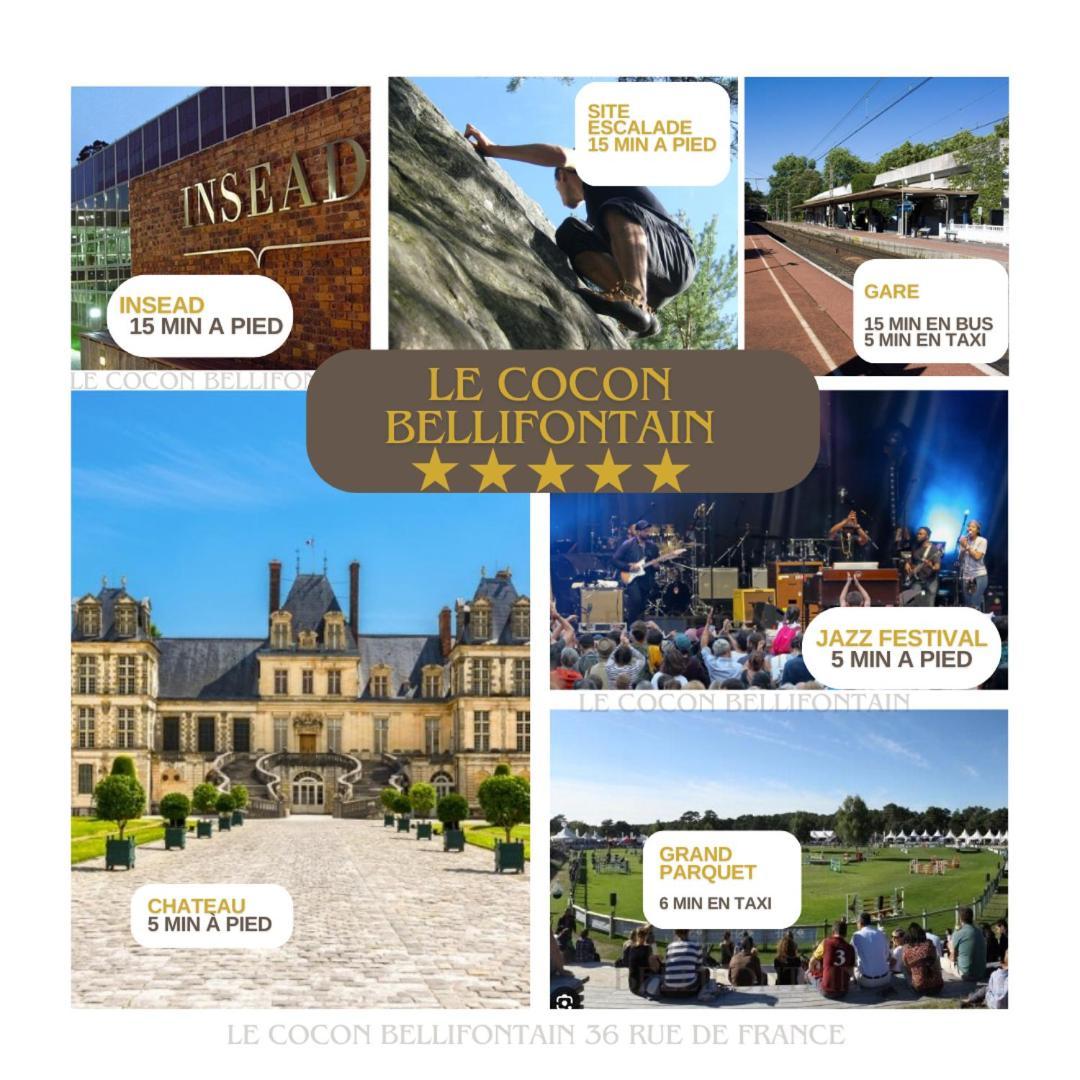 Le Cocon De Fontainebleau - Centre-Ville, Proche Insead & Chateau Екстериор снимка