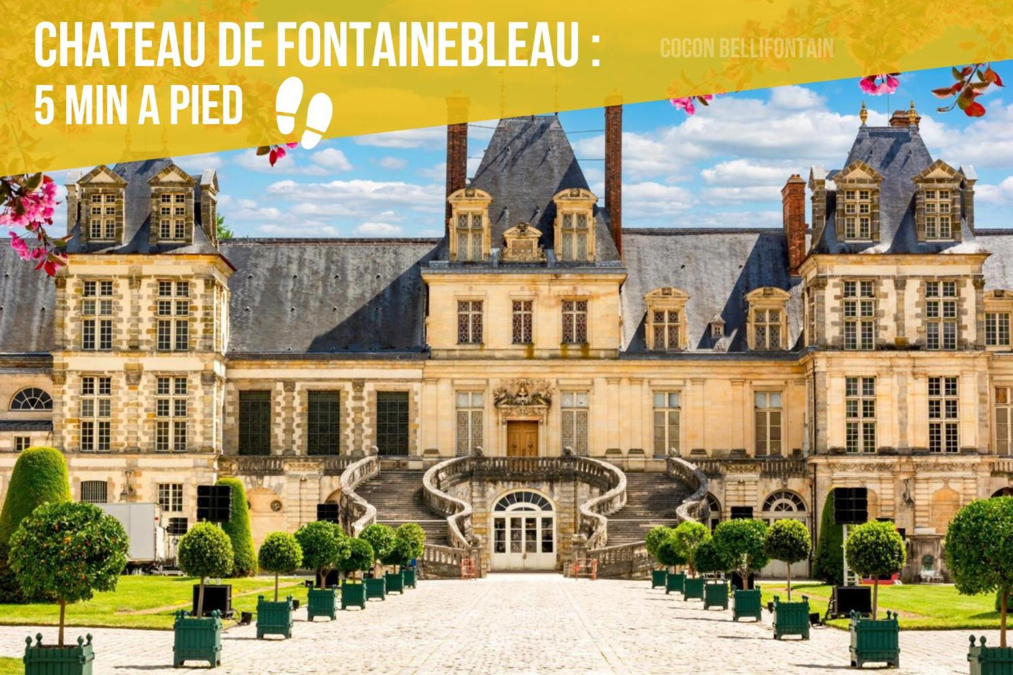 Le Cocon De Fontainebleau - Centre-Ville, Proche Insead & Chateau Екстериор снимка